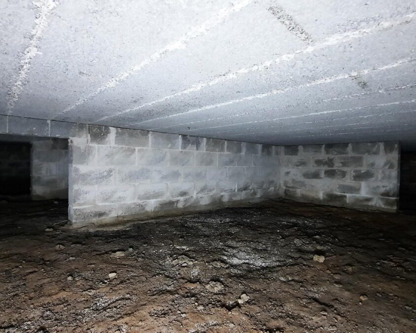 Vide sanitaire d'une maison à Brasschaat