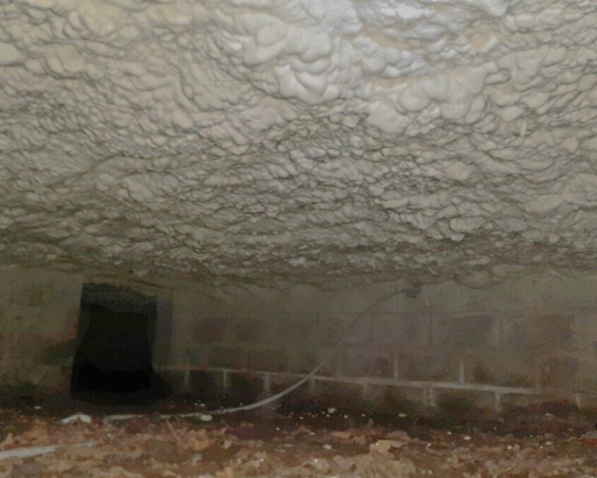 Plafond isolé d'un vide sanitaire avec de la mousse polyuréthane