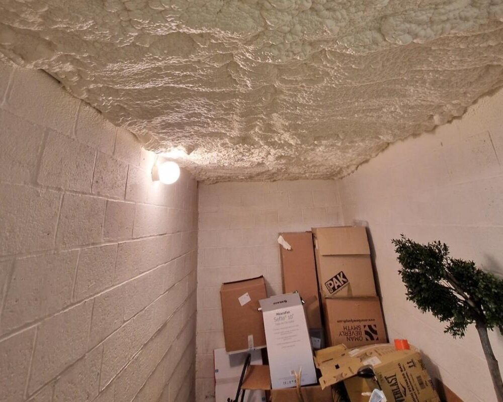Plafond d'une cave recouvert de mousse isolante projetée avec des boites en carton et un arbre