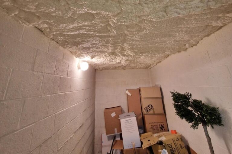 Plafond d'une cave recouvert de mousse isolante projetée avec des boites en carton et un arbre